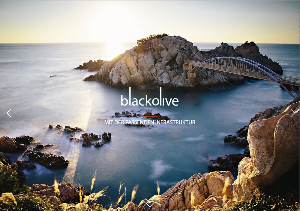 blackolive // Web