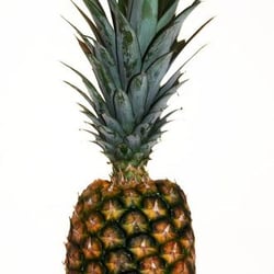 object