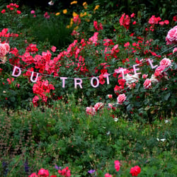 monumentale typografie