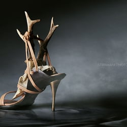 Horny Shoe