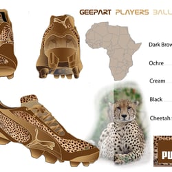 geepart players ball 2010