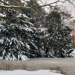 Winter in Bremen