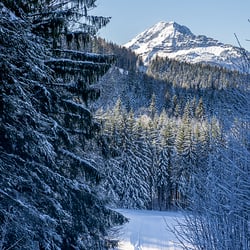 Annaberg, Blick auf den Ötscher