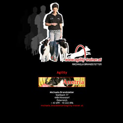 Website Agility Trainer