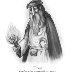 Druid