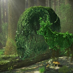 Face of the Forest
