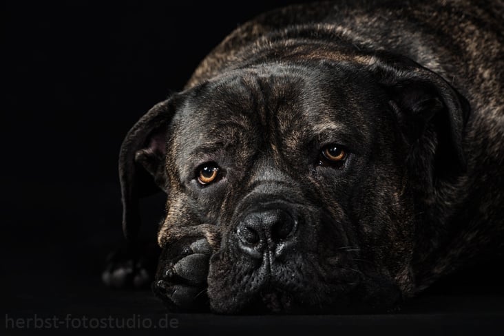 Dexter