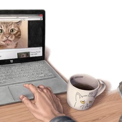 Wie die Katze zu uns kam