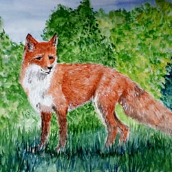 Der Fuchs, Aquarell