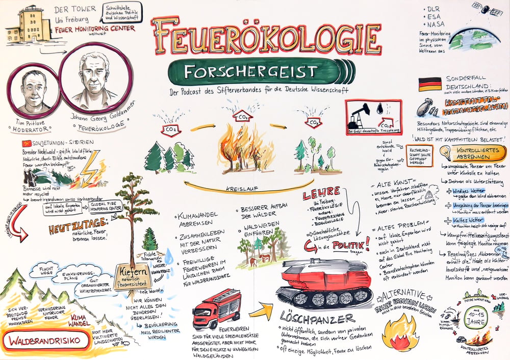 Test Graphic Recording zur Folge über Feuerökologie des Forschergeist-Podcasts