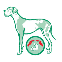 Dogge+icon