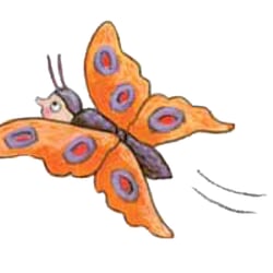 Schmetterling