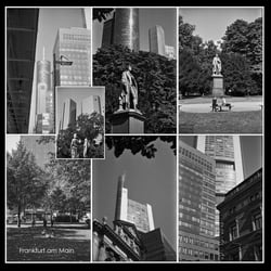Ws-002-011 / SW-Film ( AGFA APX 100 )