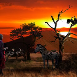 Afrika