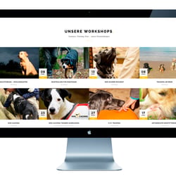vanessa-badziong-grafik-design-tierlieb-hundeschule-web-03