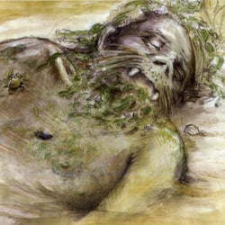 der Nöck, Amrum
