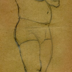 Aktstudie