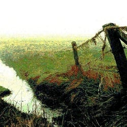 Hooge-Krimi