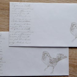 Umschlag-2-Vogel-und-Schrift
