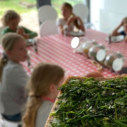 Schulkinder im Museum