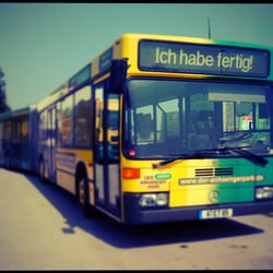 bus