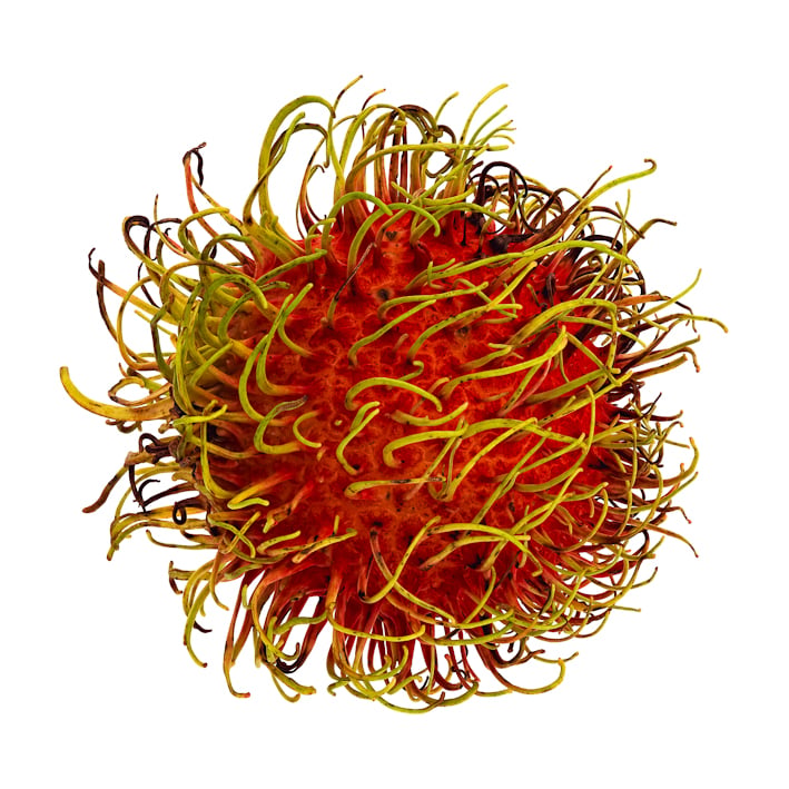 Rambutan
