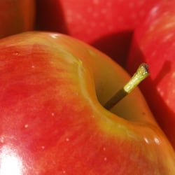 rote Äpfel
