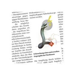 WORLD HEALTH SUMMIT 2015, EFKS erschienen in der ZEIT