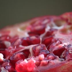 Granatapfel November 2012