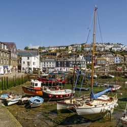 Megavissey