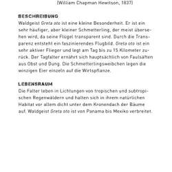 Infotafel