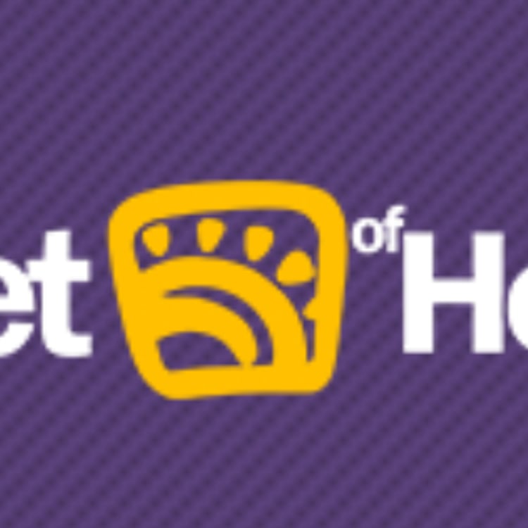 Johanna Hahn