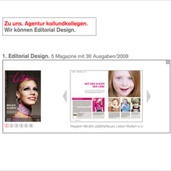 Editorial Design Detailansicht