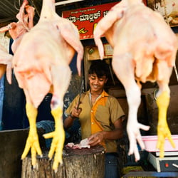 People Of India