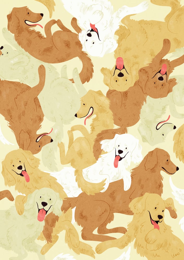 Golden Retriever