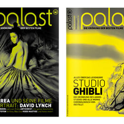Konzept und Gestaltung des Filmmagazines www.palastmagazin.de