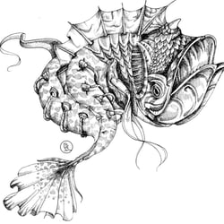 hydrofisch