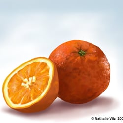 orangen