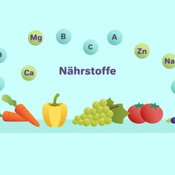 Erklärvideo Ernährung Schule2