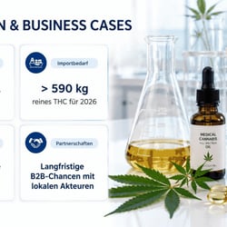 Visuelle Aufbereitung von Marktpotenzial, Wachstum, Importbedarf und B2B-Geschäftschancen für schnelle Entscheidungsfindung.