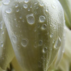 DSCF0249