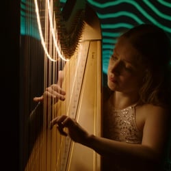 StringsInMotion 3