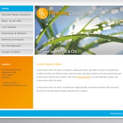 PS Template Design Pharma Consulting