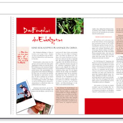 Editorialdesign
