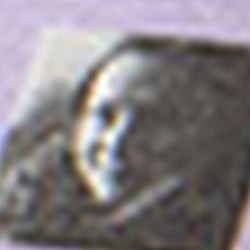 Yearbook Of Type II 59