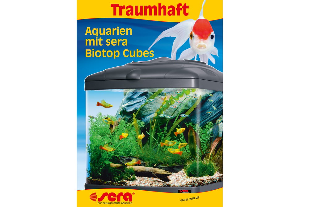 Ratgeber / Broschüren