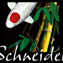 Schneider Koi