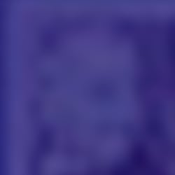 Arbeitsprobe | WEB