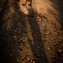 Chiang Mai, Thailand.