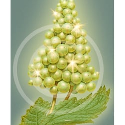 Weihnachtskarte